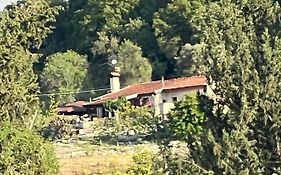 Despina Country Retreat
